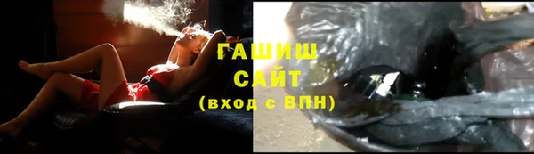 хмурый Алексин
