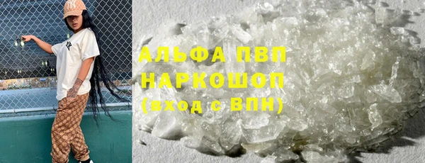 дмт Абаза