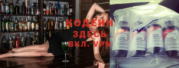 дмт Абаза