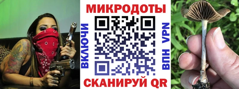 Галлюциногенные грибы Psilocybine cubensis  закладка  Трубчевск 